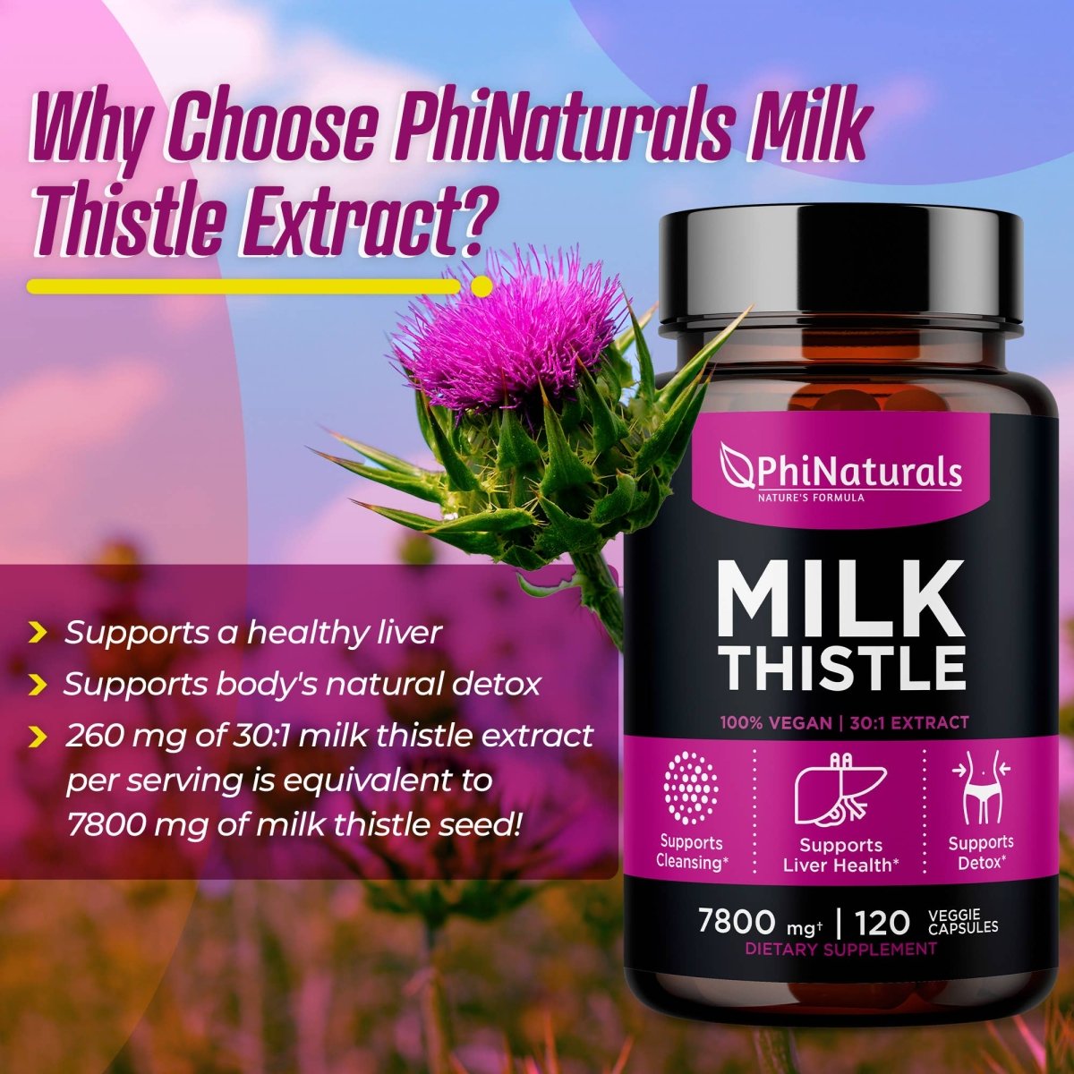 Milk Thistle Extract 30:1 Silymarin, 120 Vegetable Capsules - Spring Street Vitamins