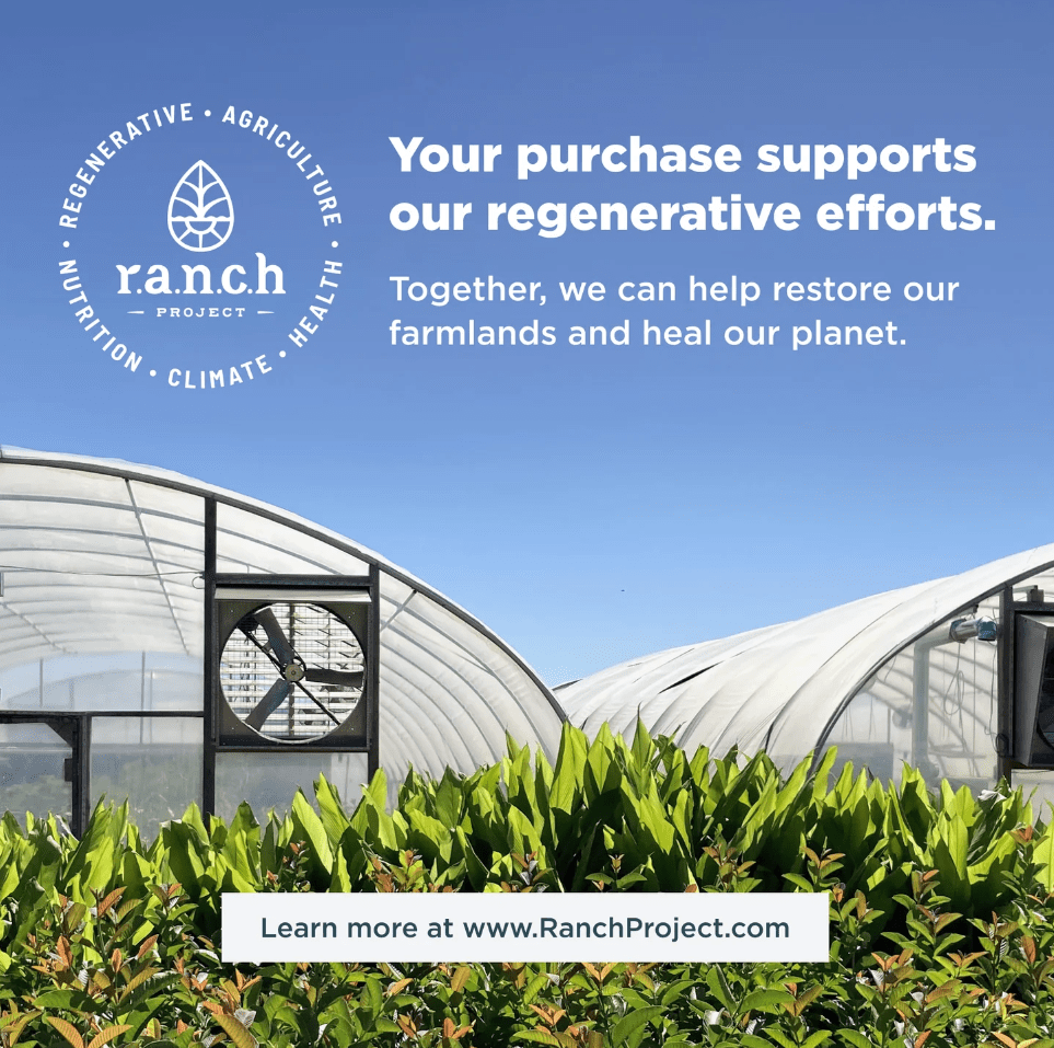 Multi Protein Plant Based, 1.2 LB - Spring Street Vitamins