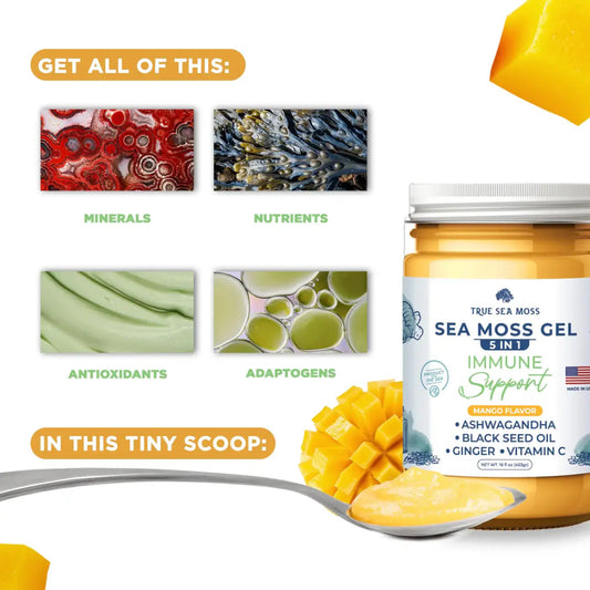 5 in 1 Immune Support Sea Moss Gel Mango 16 oz (Glass Jar) - Spring Street Vitamins