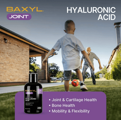 Baxyl Joint Support, Hyaluronic Acid, 6 oz Oral Liquid - Spring Street Vitamins