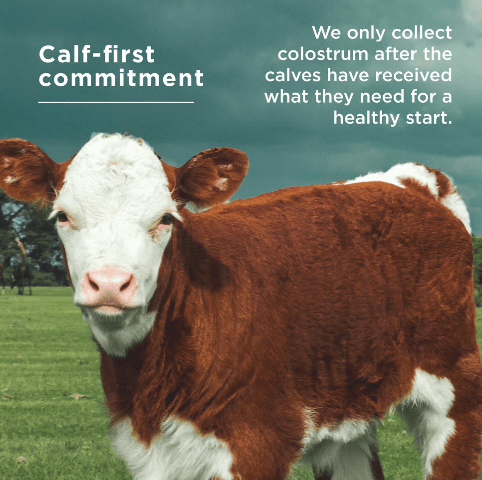 Colostrum, Grass Fed, Unflavored, 60 Servings (78 gm) - Spring Street Vitamins