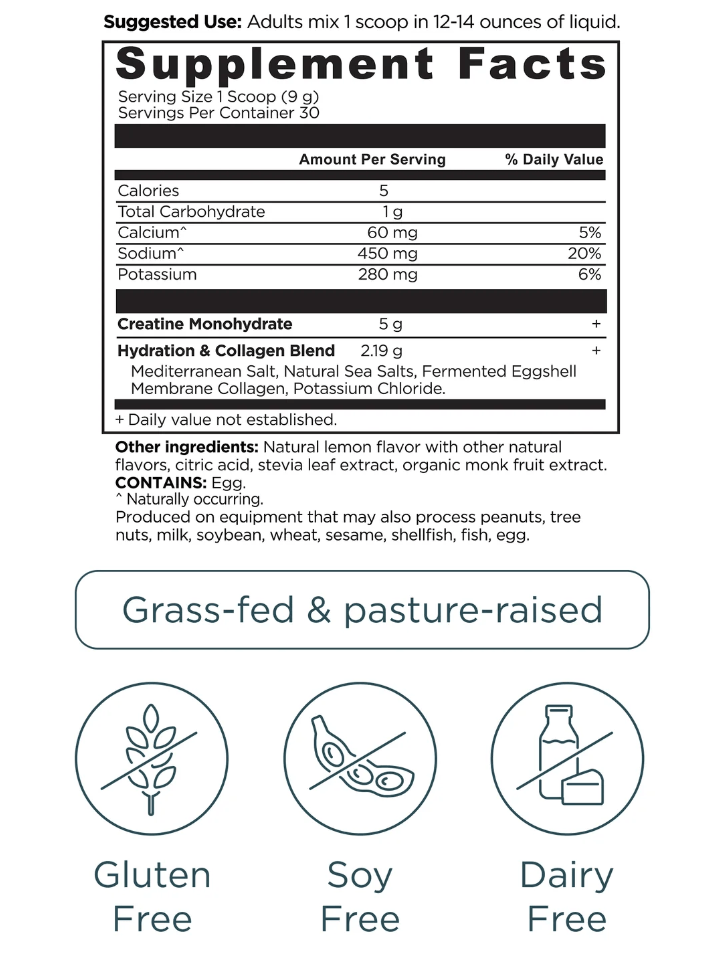 Creatine + Collagen + Electrolytes, Lemon Flavor, 30 Servings (272 gm) - Spring Street Vitamins