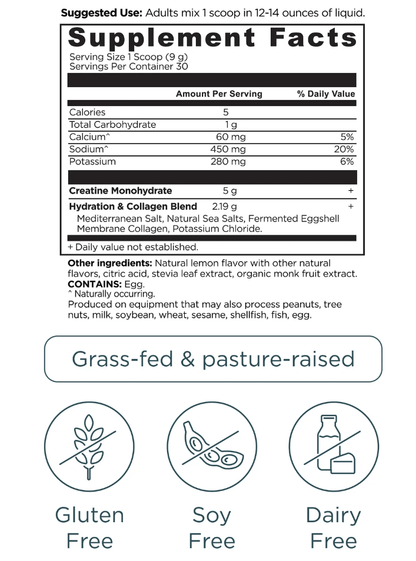 Creatine + Collagen + Electrolytes, Lemon Flavor, 30 Servings (272 gm) - Spring Street Vitamins