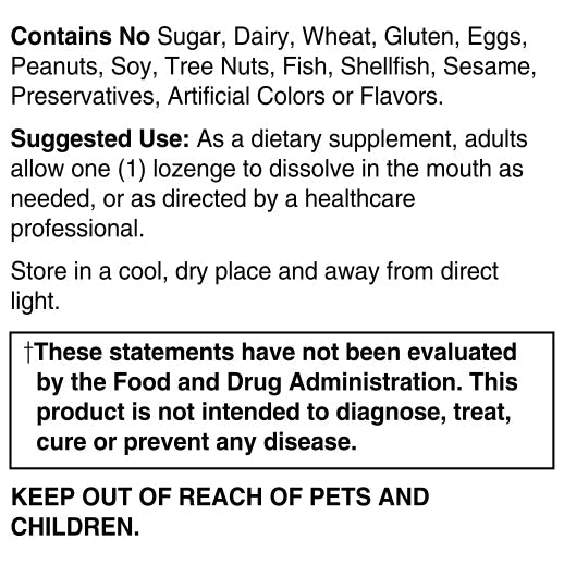 Elderberry Zinc Lozenge, 60 Lozengers - Spring Street Vitamins