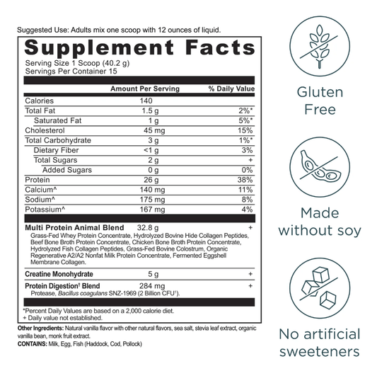 Multi Protein + Creatine, 1.37 LB - Spring Street Vitamins