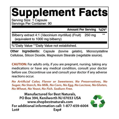 Bilberry Extract, 90 Capsules - Spring Street Vitamins