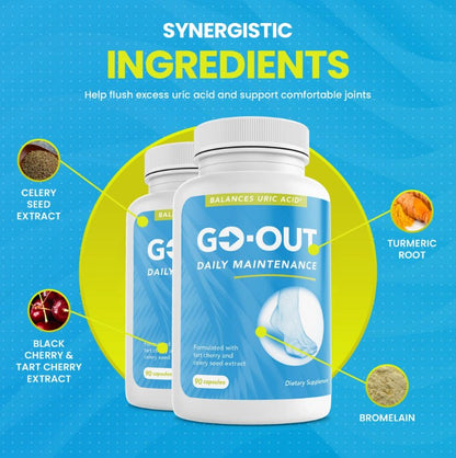 GO-OUT Daily Maintenance, 90 Vegetable Capsules - Spring Street Vitamins
