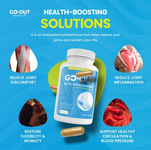 GO-OUT Daily Maintenance, 90 Vegetable Capsules - Spring Street Vitamins