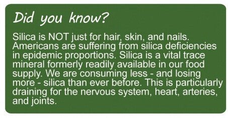 Super Silica 4 oz - Spring Street Vitamins