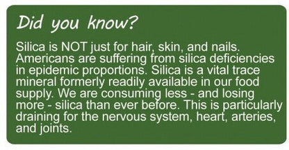 Super Silica 4 oz - Spring Street Vitamins